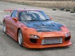 Wheel Vehicle Tire Car Hood